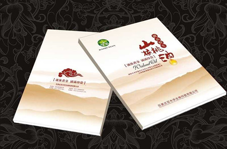 飛印網宣傳冊印刷 飛印網宣傳冊印刷
